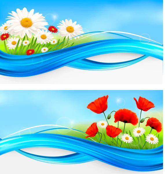 Flower banners with red poppies and daisies. Vector — Stock Vector