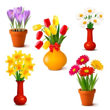 Spring and summer colorful flowers in vases Vector illustration clipart