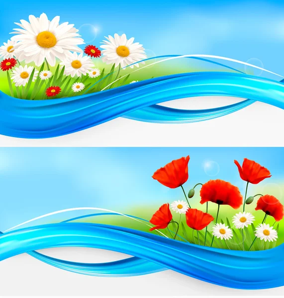 Flower banners with red poppies and daisies — Stock Vector