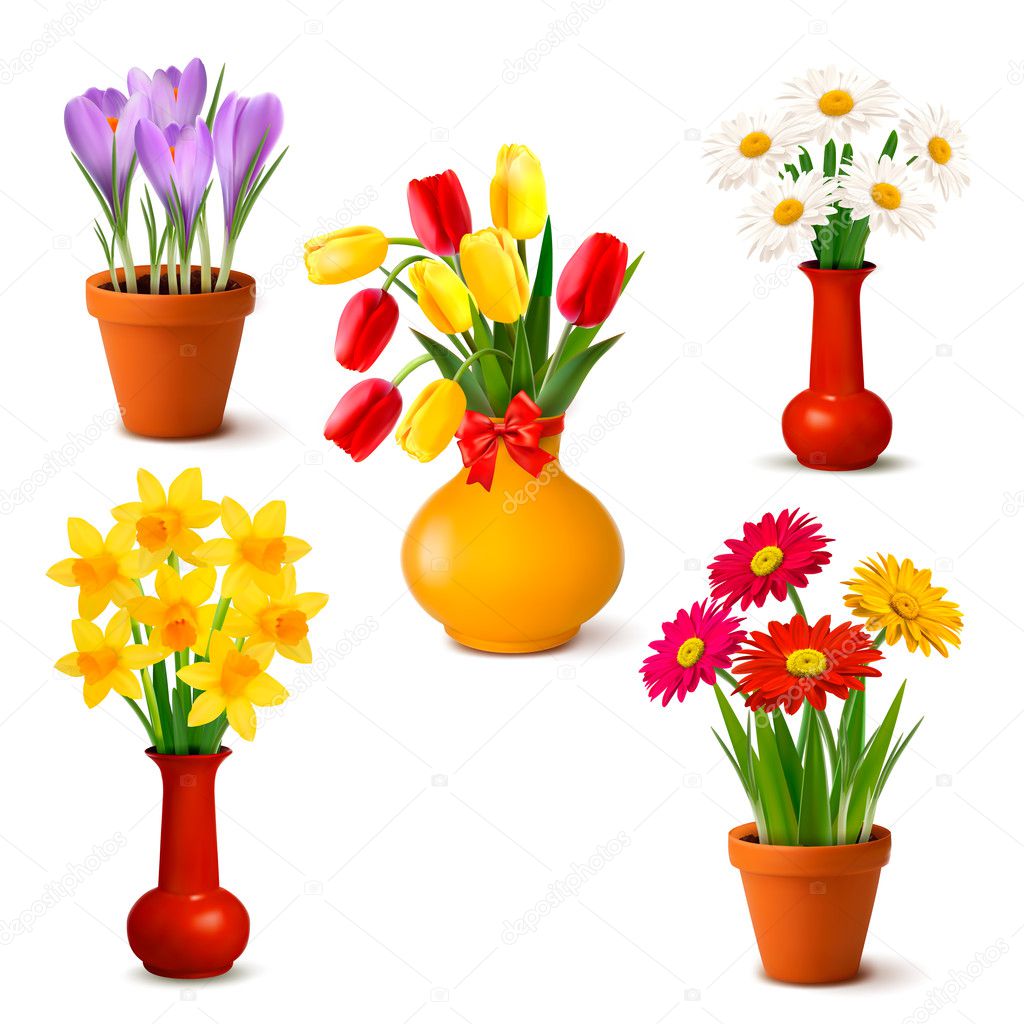 Spring and summer colorful flowers in vases Vector illustration