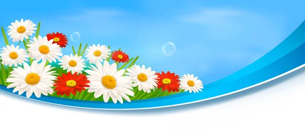 Nature banner with summer daisies and poppies Vector — Stock Vector