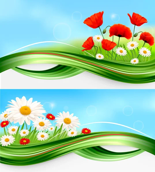 Natur bakgrunder med sommar färgglada blommor vektor — Stock vektor