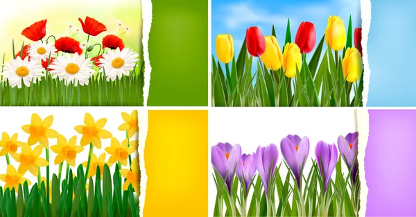 Ensemble de milieux naturels avec des fleurs colorées de printemps et d'été et du papier déchiré vecteur — Image vectorielle