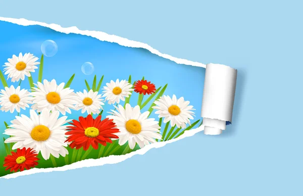 Fond d'été avec fleurs et papier déchiré Illustration vectorielle — Image vectorielle