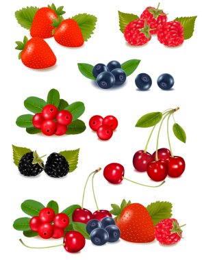 Big group of fresh berries. Photo-realistic vector illustration. clipart