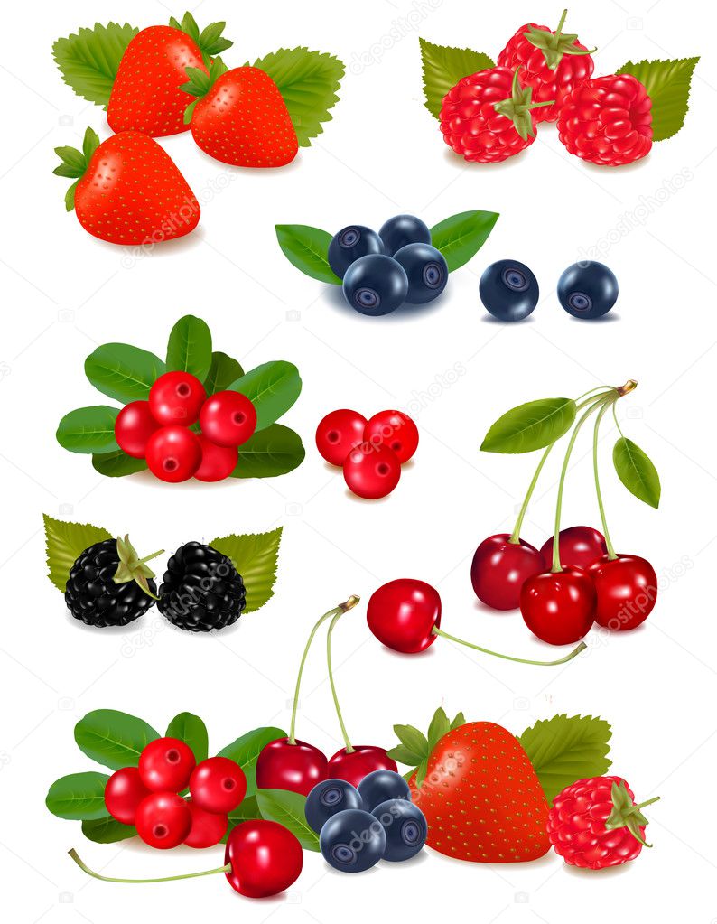Big group of fresh berries. Photo-realistic vector illustration.