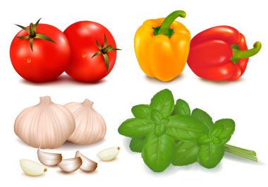 The big colorful group of vegetables. Photo-realistic vector. clipart