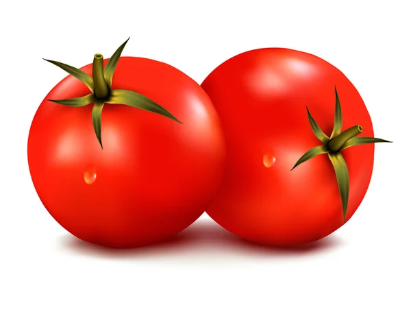 Tomat diisolasi pada latar belakang putih. Ilustrasi vektor foto-realistis - Stok Vektor