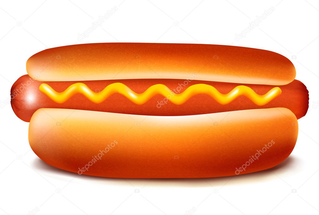 Vector illustration of hot dog with ketchup and mustard