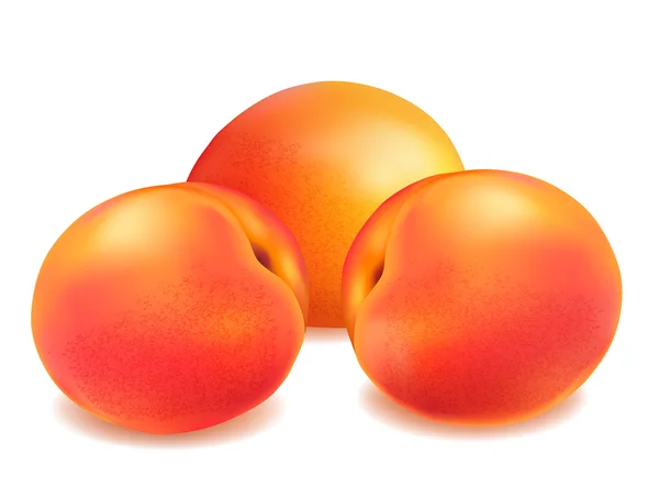 Färsk persika frukt — Stock vektor