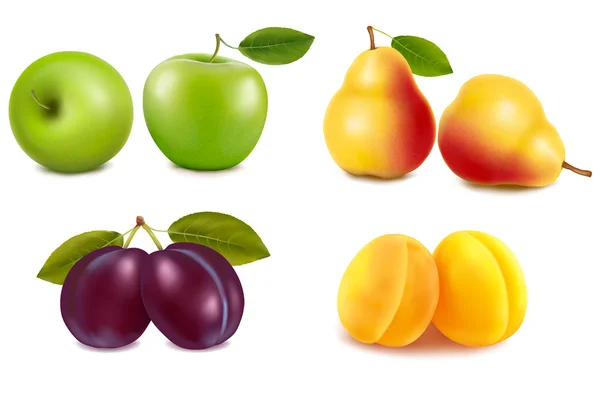 Grupo con diferentes tipos de frutas. Vector . — Vector de stock