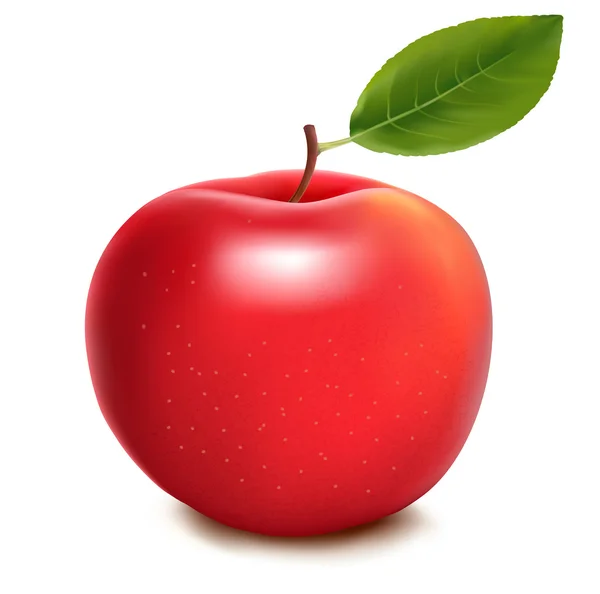 Manzana roja fresca sobre fondo blanco. Vector — Vector de stock
