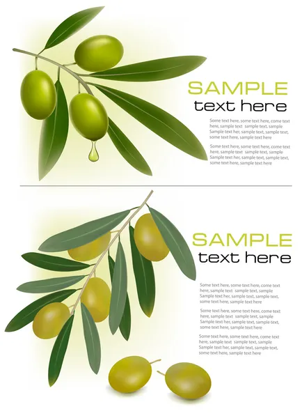 Achtergrond met groene olijven. vectorillustratie. — Stockvector