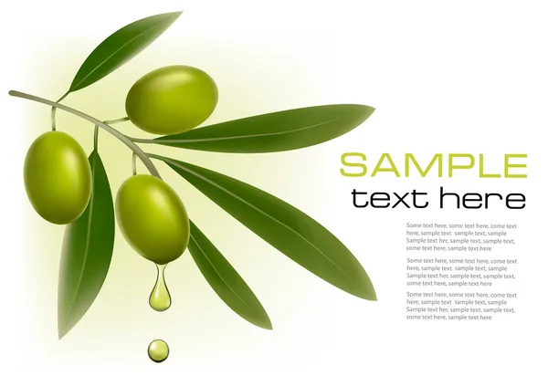 Fond avec des olives vertes. Illustration vectorielle . — Image vectorielle
