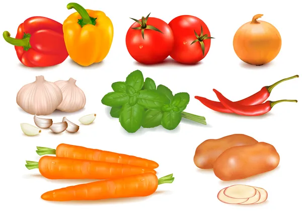 O grande grupo colorido de legumes. Vetor foto-realista — Vetor de Stock