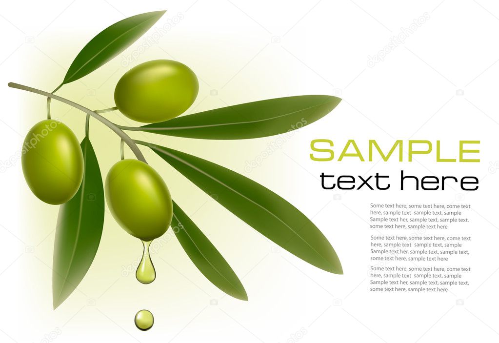 Background with green olives. Vector illustration.