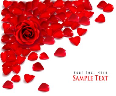 Background of red rose petals. Vector