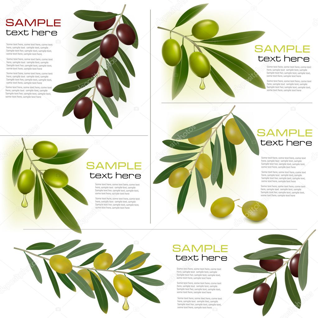 Set of backgrounds with green and black olives. Vector illustration