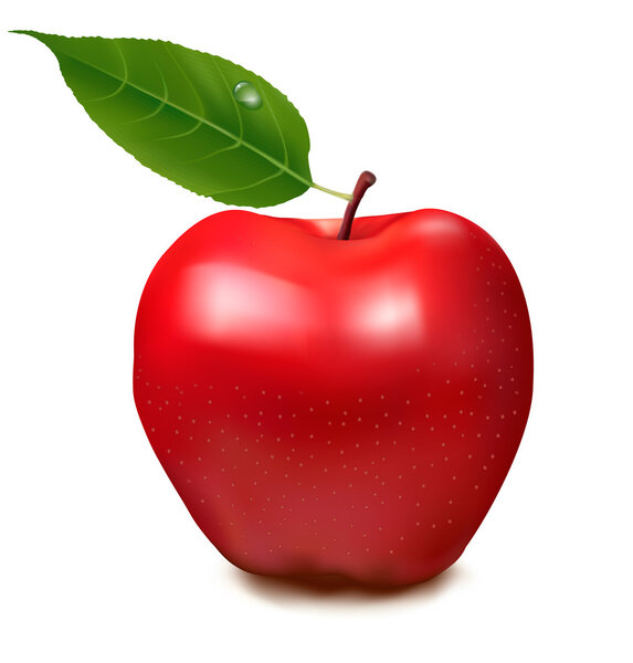 Свежее красное яблоко на белом фоне. Вектор
