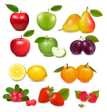 Big group of different fruit. Vector. clipart