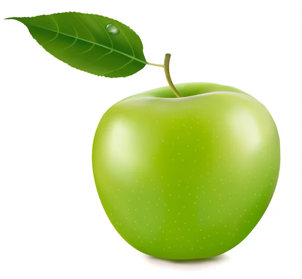 Zielone jabłko — Wektor stockowy