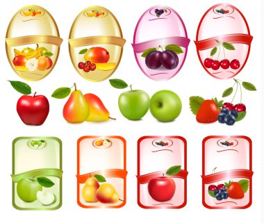 Set of labels with berries and fruit. Vector illustration. clipart