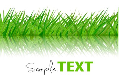 Background with green grass. Vector. clipart