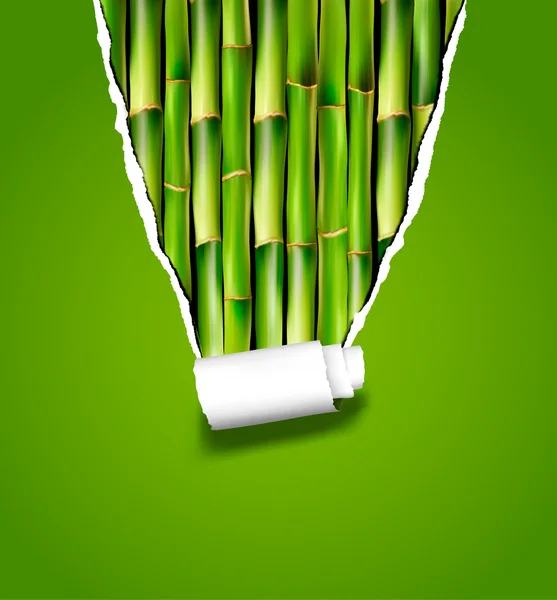 Fond en bambou avec du papier déchiré. Illustration vectorielle . — Image vectorielle