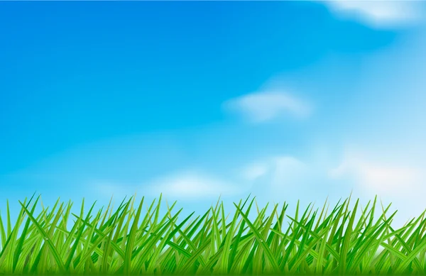 Groen gras tegen de hemelachtergrond. vectorillustratie. — Stockvector