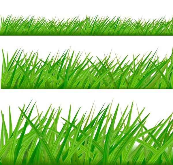 Three grass borders. Vector. — Stock Vector