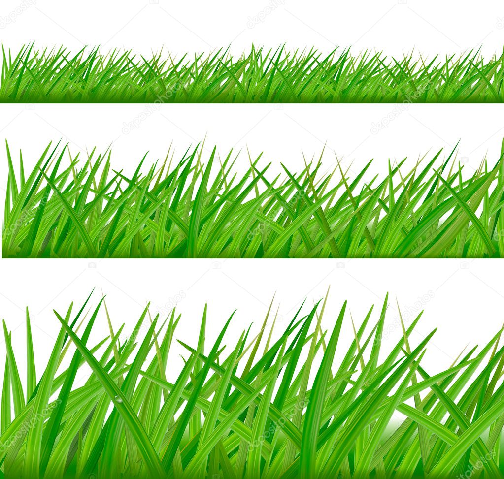 Three grass borders. Vector.