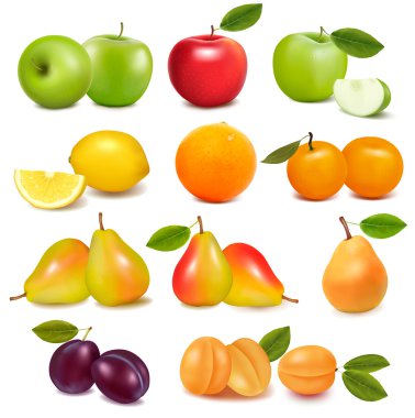 Big group of different fresh fruit. Vector.