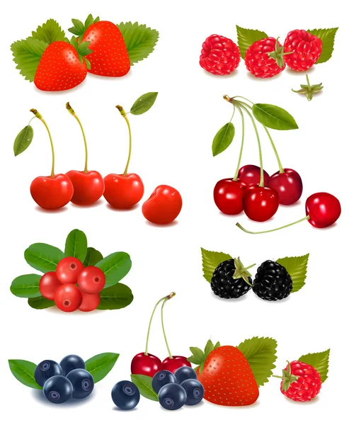 Большая группа свежих ягод. Вектор . — стоковый вектор