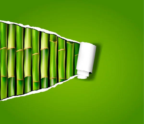 Fond en bambou avec papier déchiré Illustration vectorielle — Image vectorielle