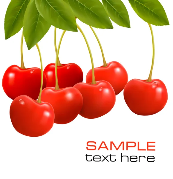 Bunch of fresh, juicy, ripe cherries Vector illustration — Stock Vector