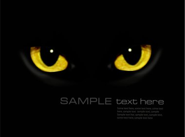 Cat eyes in dark night Vector background clipart