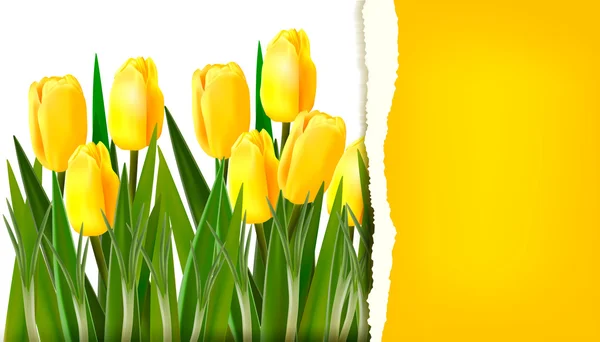 Fondo flor primavera con papel rasgado Vector ilustración — Vector de stock
