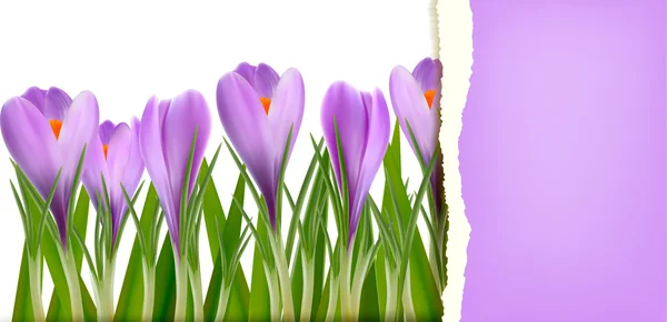 Primavera sfondo fiore con carta strappata Vettore illustrazione — Vettoriale Stock