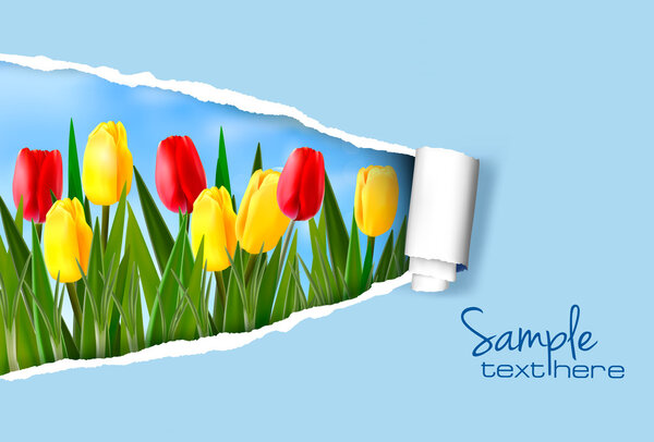 Фон природы с разорванной бумагой
