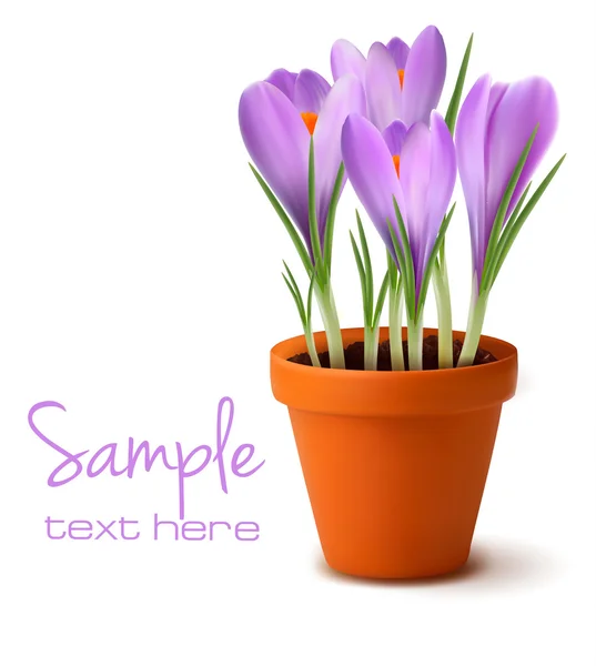 Friss tavaszi virágok húsvéti háttér vektor illusztráció — Stock Vector