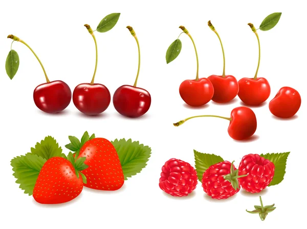 Big group of fresh berries Vector illustration — Stock Vector