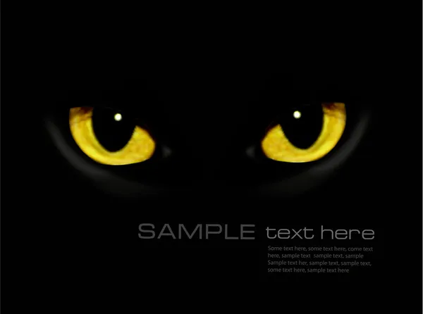 Macska szeme sötét éjszaka vektor háttér — Stock Vector