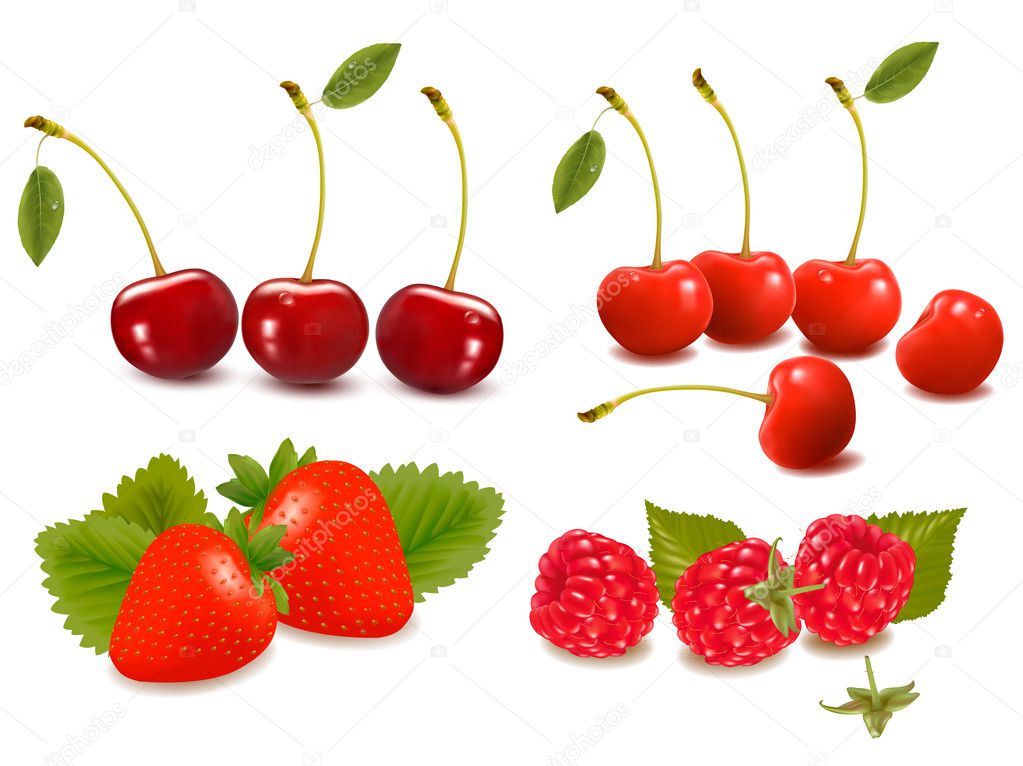 Big group of fresh berries Vector illustration