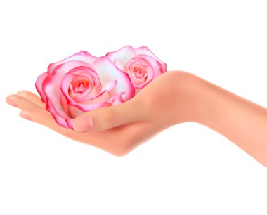 Two pink roses in a hand Vector clipart