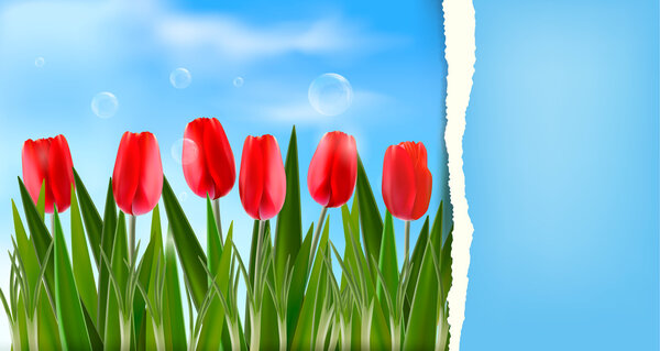 Фон природы с разорванной бумагой
