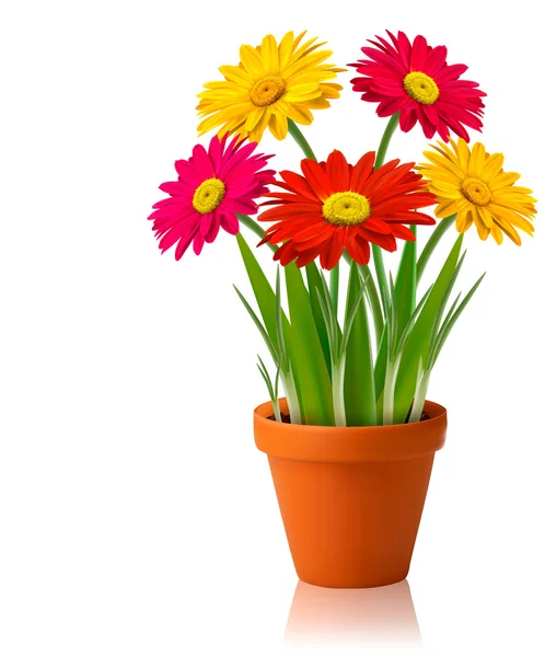 Fresh spring color flowers Vector illustration — Stock Vector