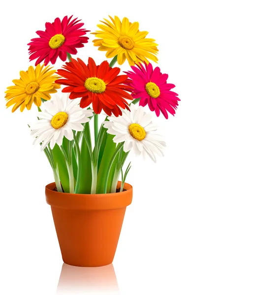 Fresh spring color flowers Vector illustration — Stock Vector