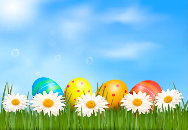 Fondo de Pascua Huevos de Pascua poniendo en hierba verde con margarita bajo el cielo azul Vector — Archivo Imágenes Vectoriales