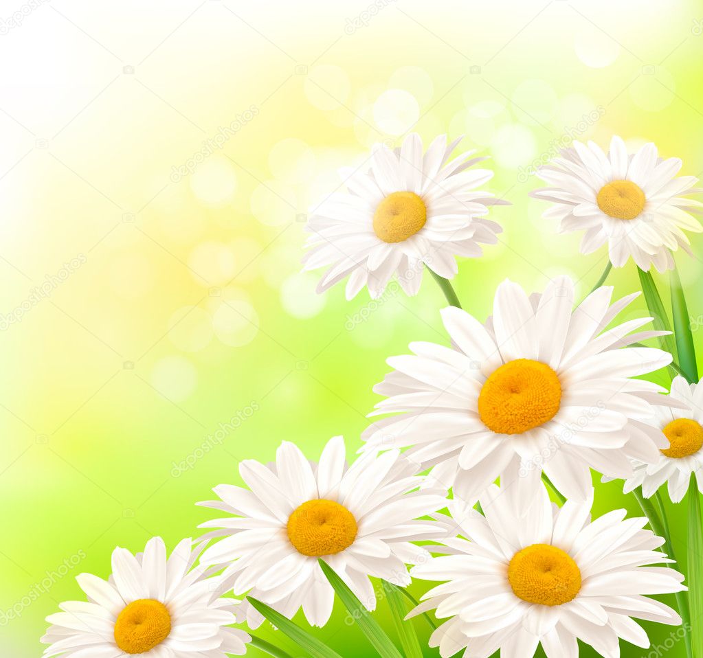 Beautiful background with grass and daisies Vector