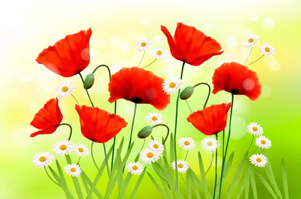 Frühling Hintergrund mit rotem Mohn und Gänseblümchen Vektor — Stockvektor